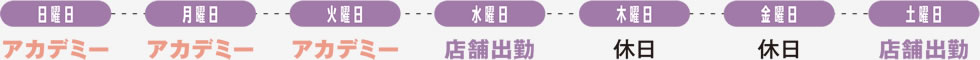アカデミー期間の週刊スケジュール